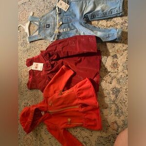 Toddler girls clothing bundle